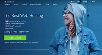 Why Bluehost best website for your site? 